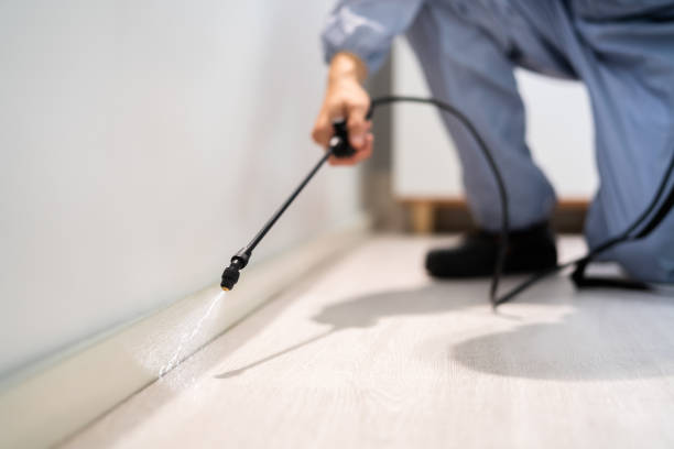 Licensed Cockroach Control service in Pawnee, IL - Nex Pest Control