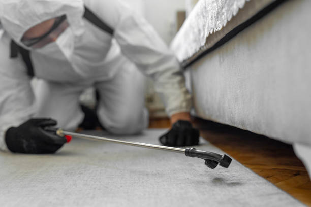 Professional Cockroach Control technician working in Pawnee, IL